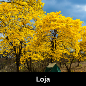 Loja Ecuador